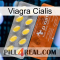 Viagra Cialis 42